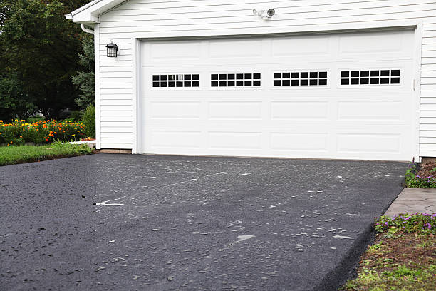 Best Siding for New Construction  in Palmyra, WI