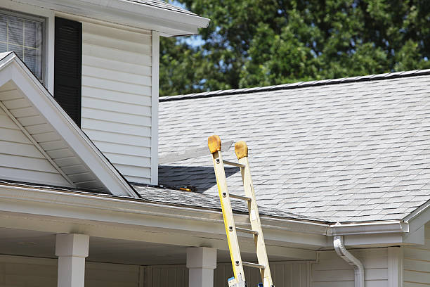 Best Historical Building Siding Restoration  in Palmyra, WI